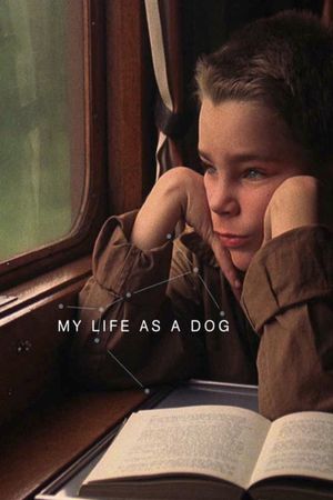 My Life as a Dog's poster
