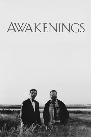 Awakenings's poster