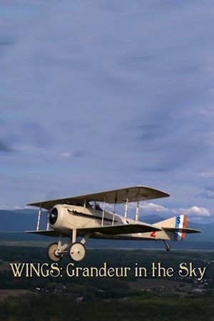 Wings: Grandeur in the Sky's poster
