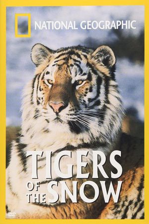 Tigers of the Snow's poster image