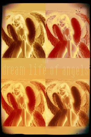 The Dreamlife of Angels's poster