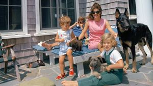 The Kennedy Dynasty's poster
