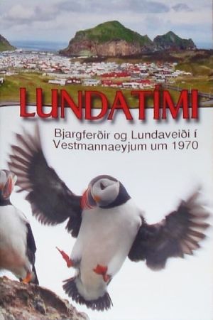 Puffin Season's poster image