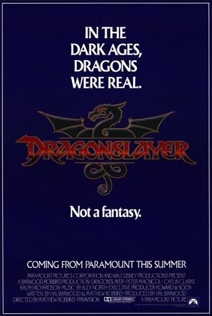 Dragonslayer's poster