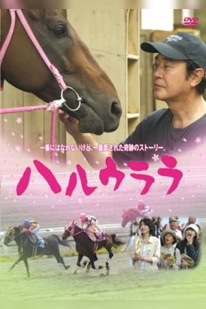 Haru Urara's poster