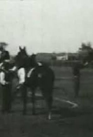 Racing at Sheepshead Bay's poster image