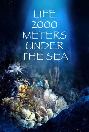 Life 2,000 Meters Under the Sea's poster