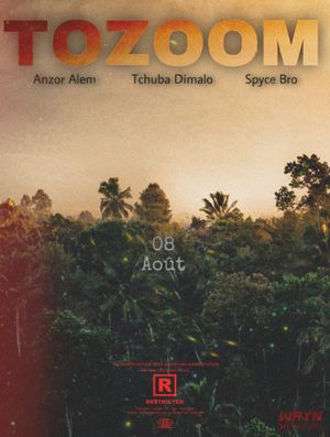Tozoom's poster