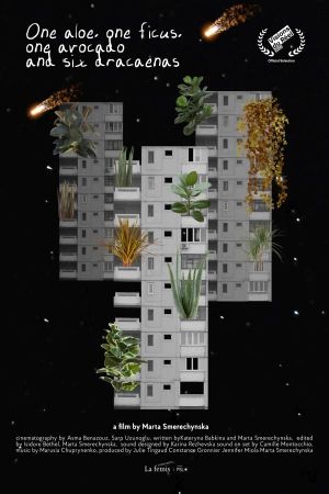 One Aloe, One Ficus, One Avocado and Six Dracaenas's poster