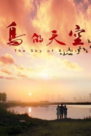 The Sky of Birds's poster image