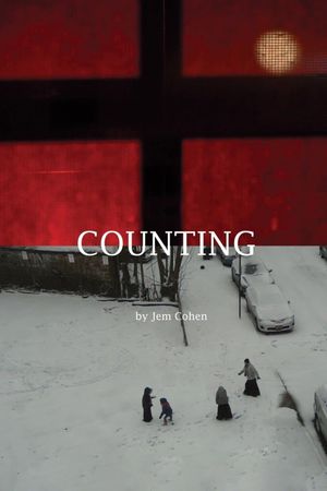 Counting's poster