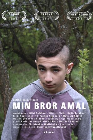 My Brother Amal's poster