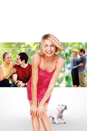 There's Something About Mary's poster