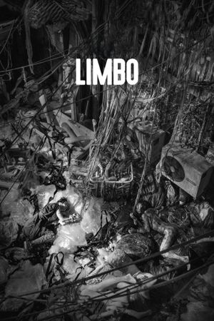 Limbo's poster