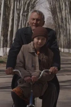 The Seagull's poster image