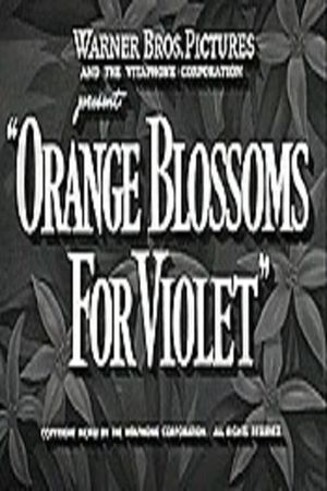 Orange Blossoms for Violet's poster