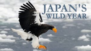 Japan's Wild Year's poster