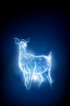 Harry Potter and the Deathly Hallows: Part 2's poster