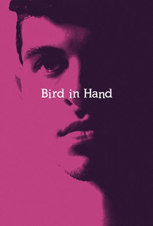 Bird in Hand's poster