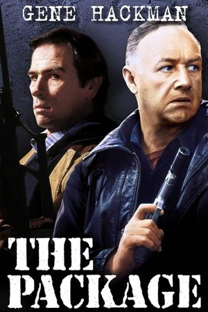 The Package's poster