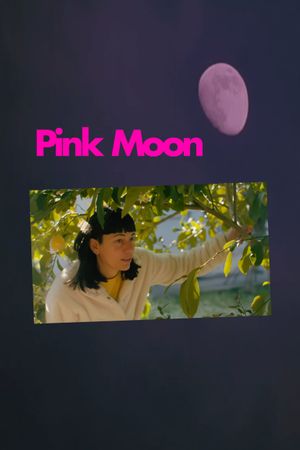 Pink Moon's poster