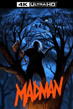 Madman's poster