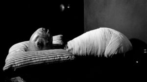Eraserhead's poster