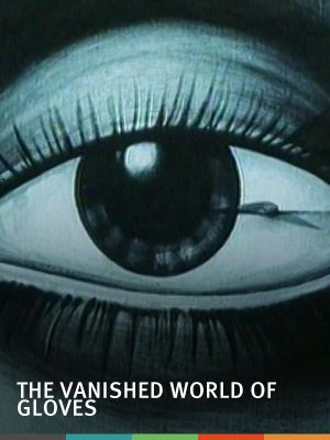 The Vanished World of Gloves's poster