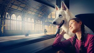 The Dog Who Travelled by Train's poster