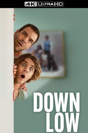Down Low's poster