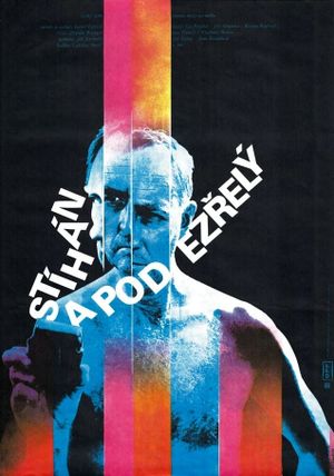 Stíhán a podezrelý's poster