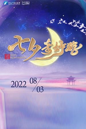 河南卫视七夕奇妙游's poster