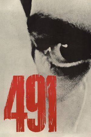 491's poster