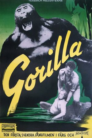 Gorilla Safari's poster