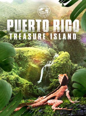 Puerto Rico: Treasure Island's poster