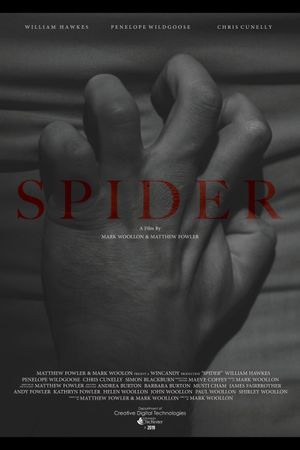 Spider's poster image