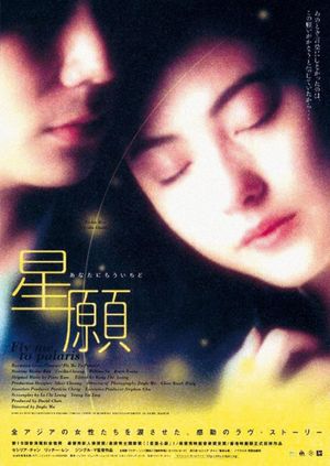 Fly Me to Polaris's poster