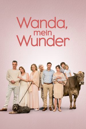 My Wonderful Wanda's poster