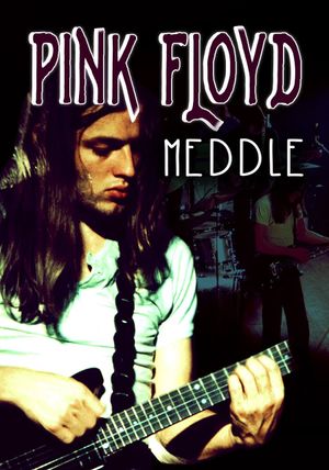 Rock Milestones: Pink Floyd: Meddle's poster
