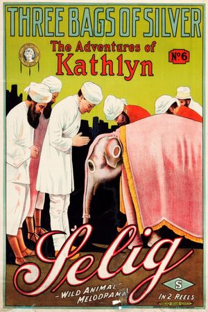Three Bags of Silver's poster