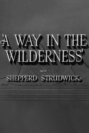 A Way in the Wilderness's poster