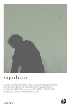 Surfaces's poster