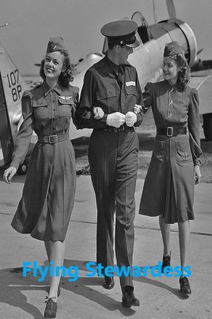 Flying Stewardess's poster image