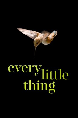 Every Little Thing's poster