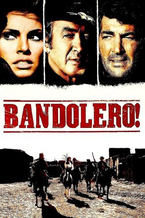 Bandolero!'s poster