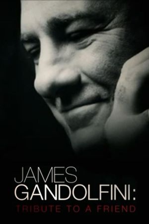 James Gandolfini: Tribute to a Friend's poster