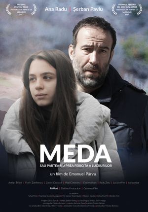 Meda or The Not So Bright Side of Things's poster