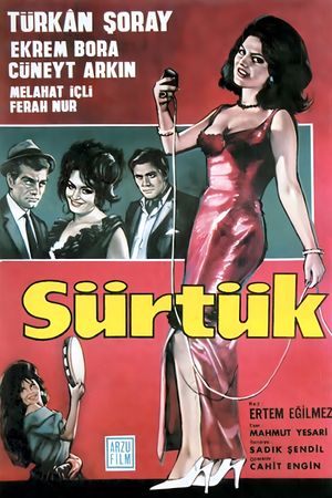 Sürtük's poster