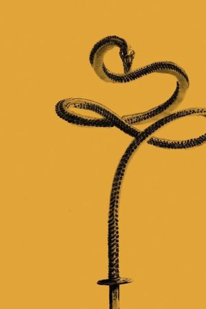 Kill Bill: The Whole Bloody Affair's poster