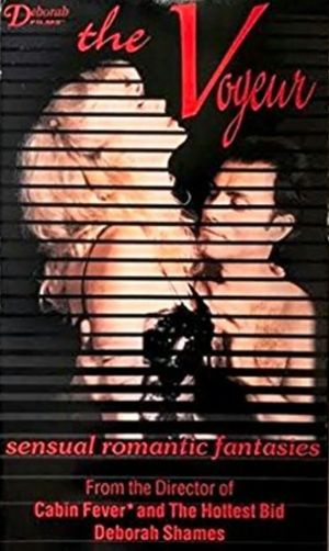 The Voyeur's poster